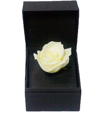 kutuda beyaz gül, kare kutusu çiçek, tekli gül hediye, 