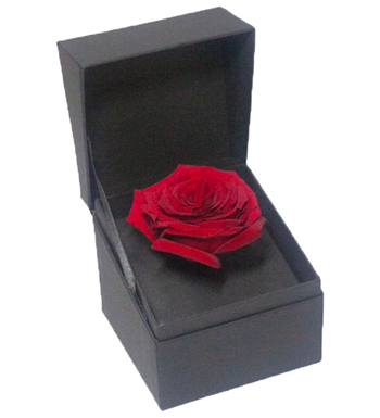 kırmızı gül, kare kutu, istanbul çiçek teslimatı, çiçekçi